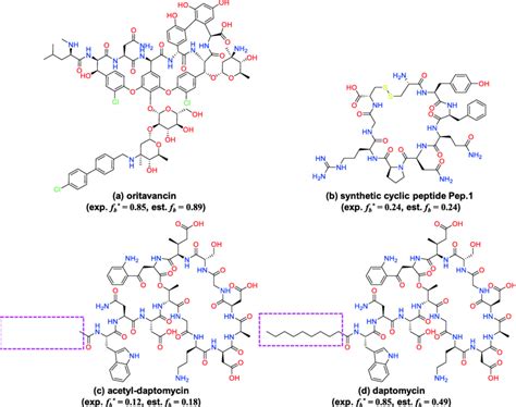 cyclic peptide drug.